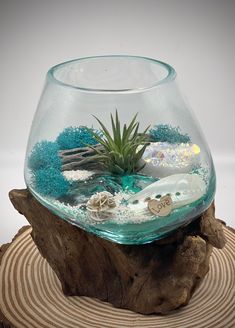 an air plant sitting in a glass bowl on top of a tree stump with sand and seaweed