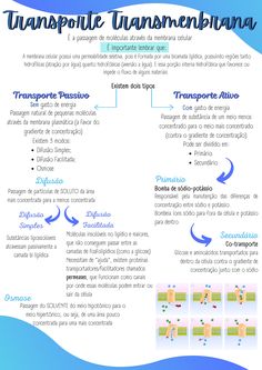 the diagram shows different types of transport and transportation in this graphic, there is an image of