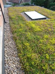 a green roof with rocks and grass on it