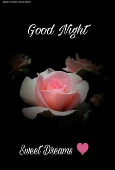 a pink rose sitting on top of a black background with the words good night sweet dreams