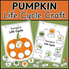 pumpkin life cycle craft for kids with pictures and words on the page to help them understand what they are doing