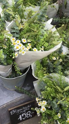 a bunch of flowers that are sitting in a pot on the ground next to a sign