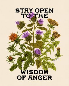 a poster with the words, stay open to the wisdom of anger on it