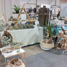 an indoor market with many different types of succulents and plants on display