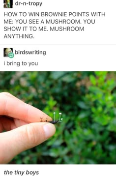 someone is holding a tiny insect in their hand and the caption reads, how to win erowie points with me you see