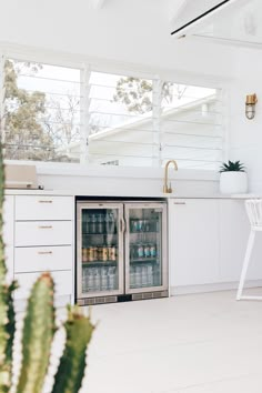 a kitchen with two glass doors and a cactus in the corner