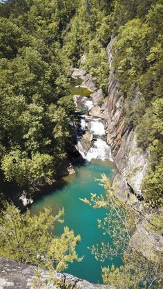 a river running through a forest filled with lots of green trees next to a cliff