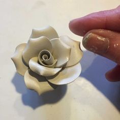 a person holding a small white flower in their left hand and pointing it at the center