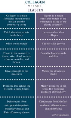 the differences between collagen versus elastin