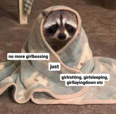 a raccoon wrapped in a towel with the caption, no more grubbossing just giraffeting, girls sleeping, playing down etc