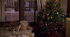 a dog sitting on a couch next to a christmas tree in front of a window