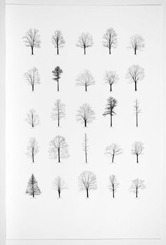 an image of trees drawn in black and white