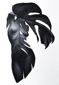 a black and white photo of a leaf on a white background with the image of a woman's torso