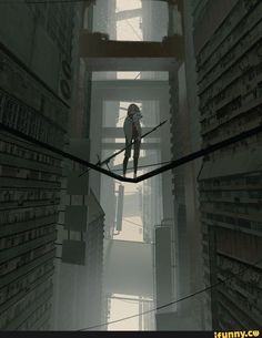 a man standing on top of a book shelf in a room filled with lots of books