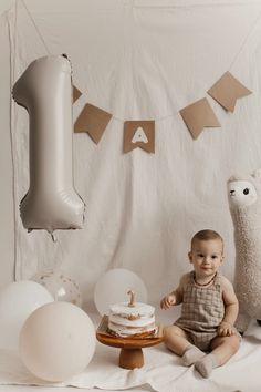 a baby sitting in front of a cake