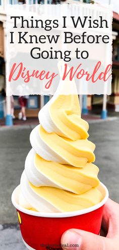 a person holding up a cup with ice cream in it and the words things i wish i knew before going to disney world