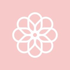 a white flower on a pink background