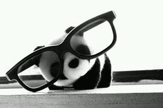 a stuffed panda bear with glasses on it's head sitting in front of a window