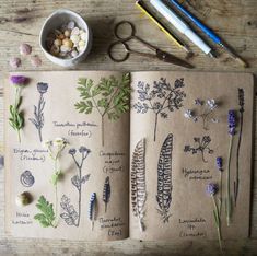 an open notebook with dried flowers and herbs on it next to some scissors, rocks and pencils