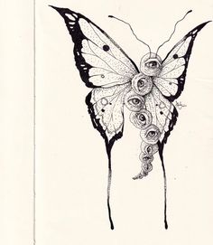 a black and white drawing of a butterfly