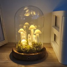 mushrooms in a glass dome with moss and lights inside on a wooden table next to a window