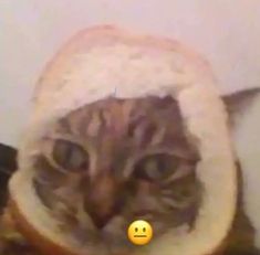 a cat is peeking out from behind a piece of bread with a smiley face on it