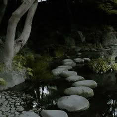 stepping stones in the water at night with trees and bushes around it, along side a stream