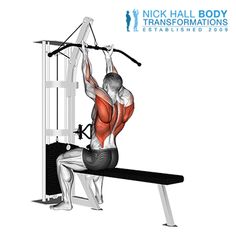 the back view of a man doing squats on a bench with an overhead pull up bar