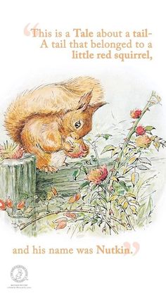 an illustration of a squirrel on a post with the caption'this is a tale about a tail - a tail that belongs to a little red squirrel, and his name was nutkin