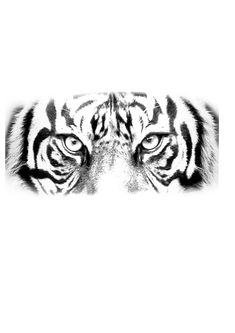 the eyes of a tiger are shown in black and white