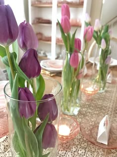 purple tulips are in glass vases on a table