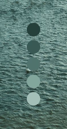 four circles floating in the water on top of each other with one circle above them