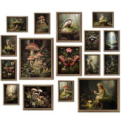 an assortment of framed pictures with animals and mushrooms on them, all in different frames