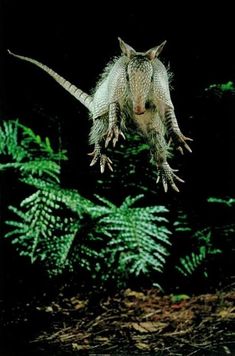 an animal that is flying through the air over some plants and leaves in the dark