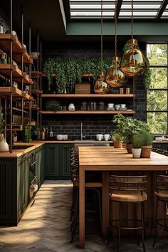 a kitchen with lots of green plants and hanging lights above the counter top, surrounded by shelves filled with potted plants