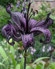 a purple flower with white swirls on it's petals in front of some flowers