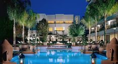 an outdoor swimming pool surrounded by palm trees and potted plants at night with lights on