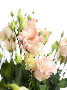 some pink and white flowers are in a vase