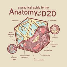 an anatomy of the d20 t - shirt with information about its parts and functions