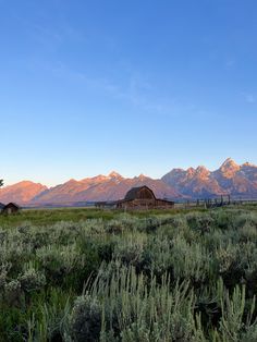 an old barn sits in the middle of a grassy field with mountains in the background