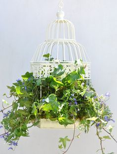 a birdcage filled with green plants and blue flowers hanging from it's side