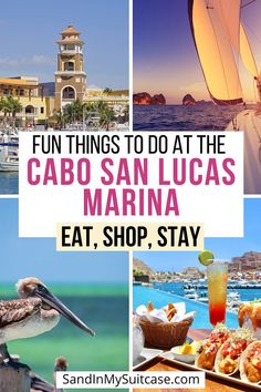 the cabo san lucas marina has many things to see and eat