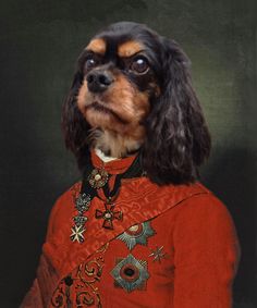 a dog dressed in an old fashioned red coat and hat with ornate decorations on it's collar