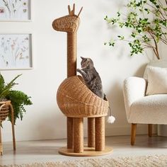 a cat sitting on top of a scratching post in a living room next to a plant