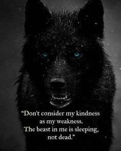 a wolf with blue eyes and the words don't consider my kindness as my weakness