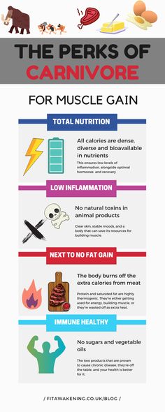 Benefits Of Carnivore Diet, Diet For Muscle Gain, Carnivore Diet Before And After, Carnivore Diet Meal Plan, Ketovore Diet, Fasting Lifestyle