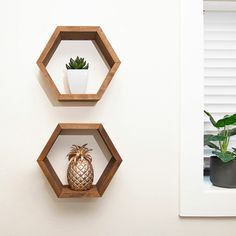 three wooden hexagonal shelves with plants on each one and a potted pineapple in the middle