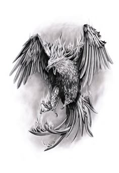 an eagle tattoo design on the back of a man's arm and chest, with flames