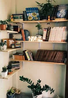 some books and plants are sitting on the shelves