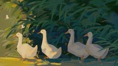 three white ducks are walking in the grass